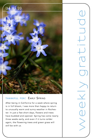 WeeklyGratitude4.3w