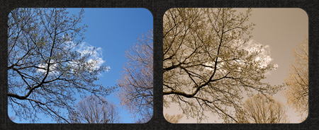 SkyDiptychw