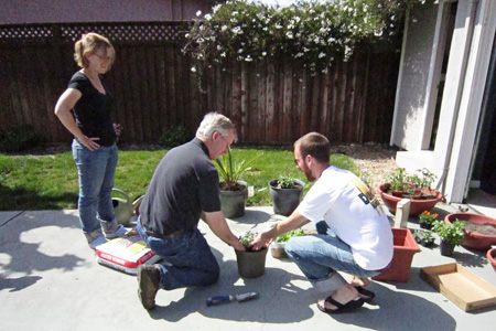 Planting3w