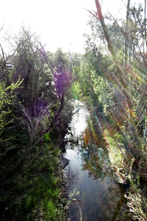 Creekw