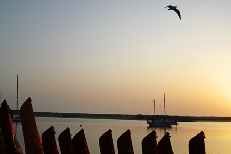 SunsetBirdw