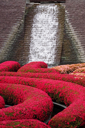 FlowersWaterfallw