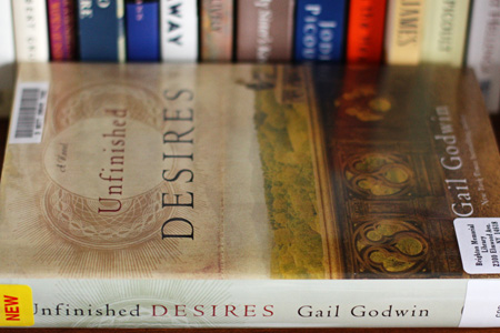 3.9UnfinishedDesiresw