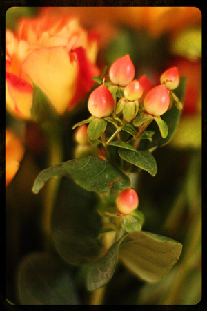 Berriesw