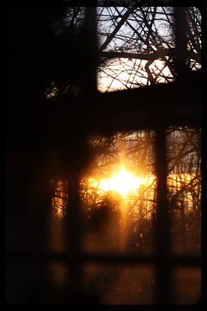 1.21MorningSkyFramew