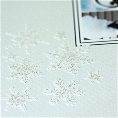 ColdSnapDetail