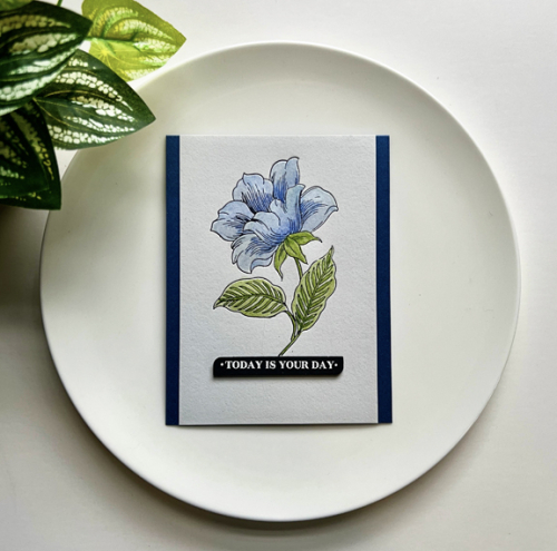 BetterpressBlue