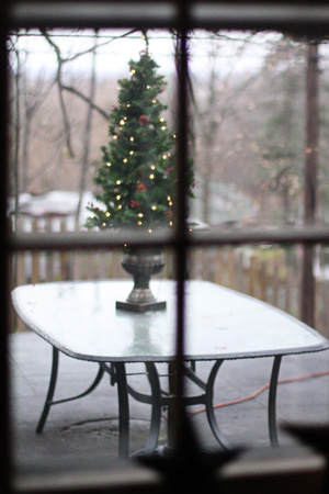 PatioTreeDRw