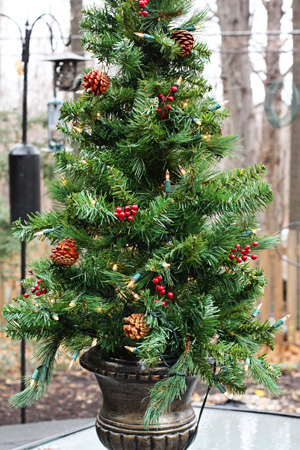 PatioTree1w