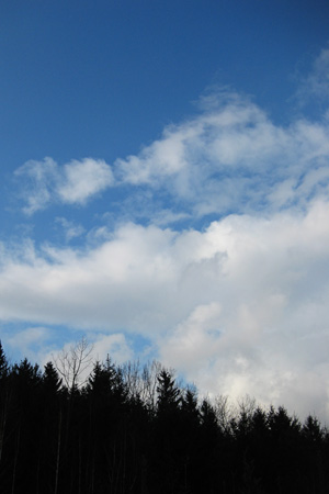 BlueSkiesw