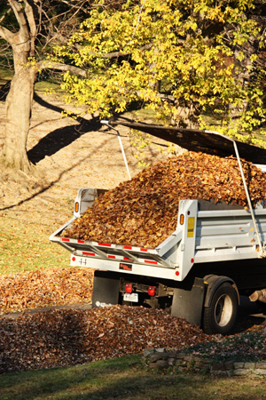 Leaves4w