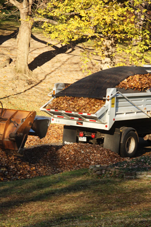 Leaves2w