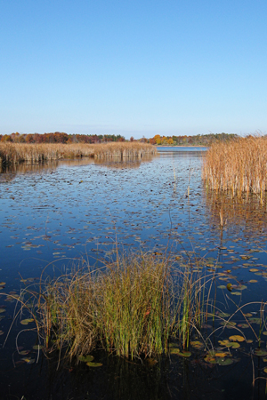 Pond3w