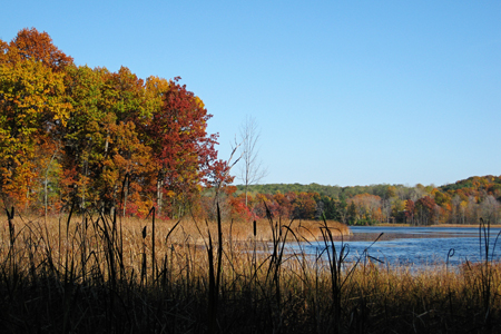 Pond6w