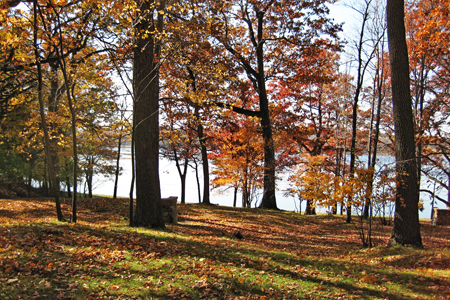 Pond4w