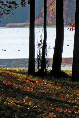 Pond2w