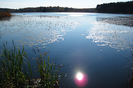 SunReflection2w