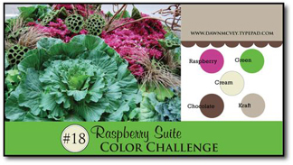 RaspberrySuite18