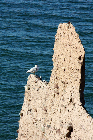Gullw