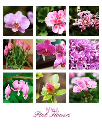 MayPinkMosaicwStroke