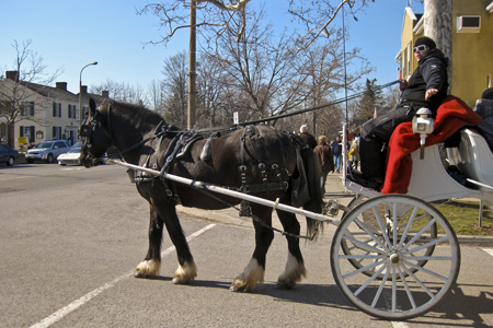 Horse&Buggyw