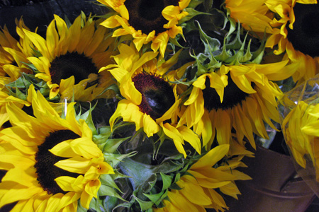 Sunflowersw