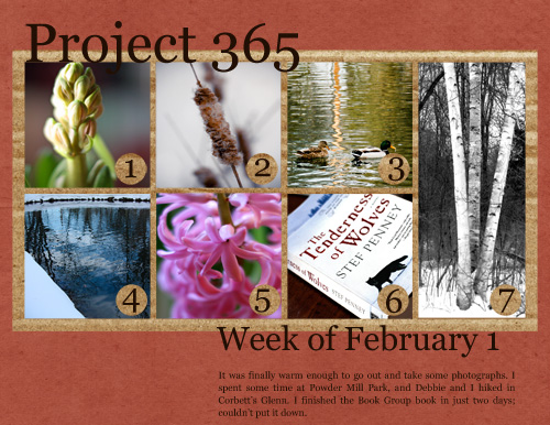365February1-7w