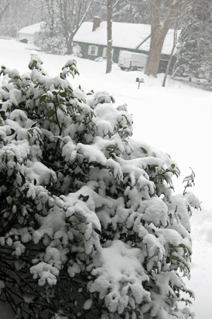 Snow1.28