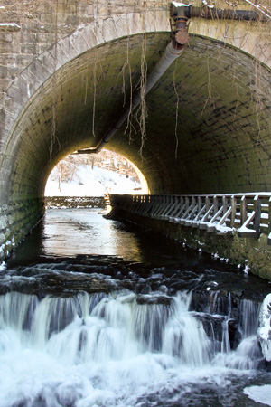 Bridgew
