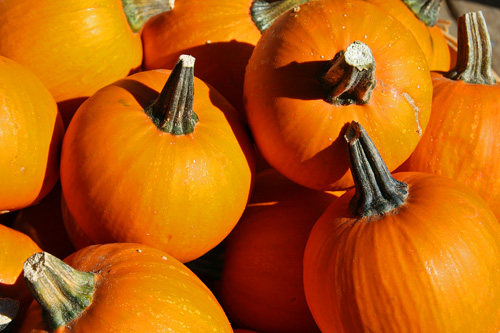 Pumpkinsw