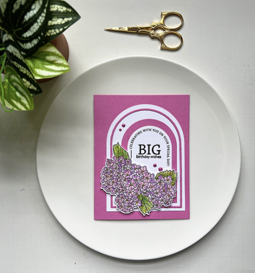 BigWishes