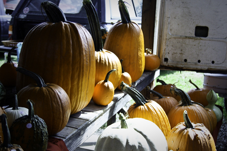 Pumpkins2w