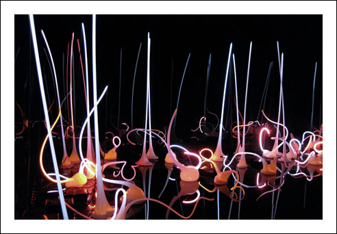 Chihuly2w