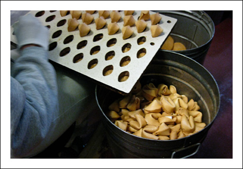 Fortunecookiesw