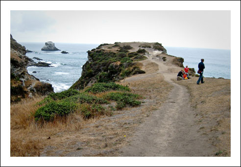 Pointreyesw