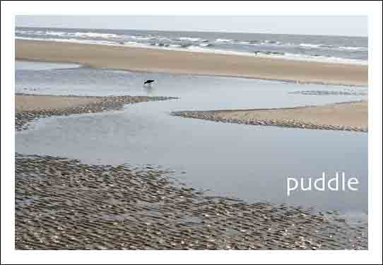 Puddle_w