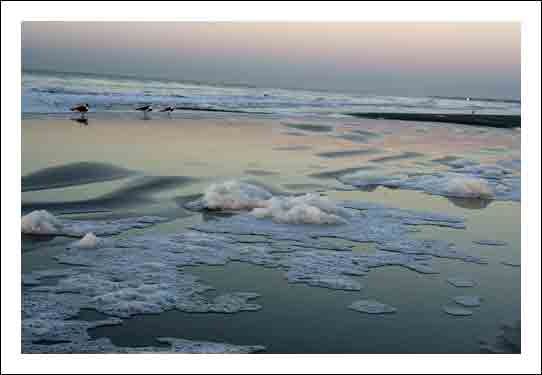 Birdssunrise_w