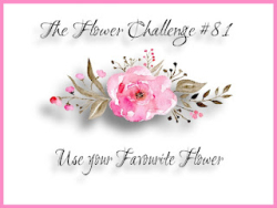 TFChallenge#81