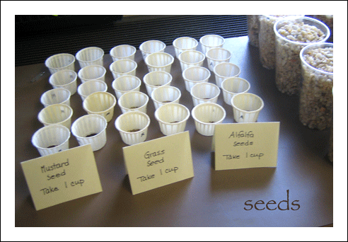 Seeds_w