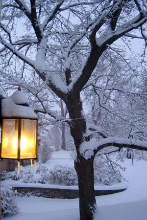 Porchlight_w