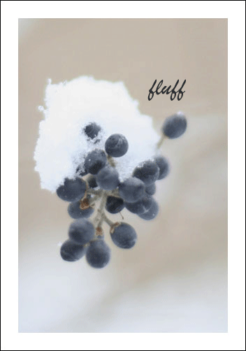 Fluff_w