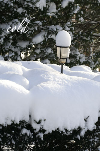 Cold
