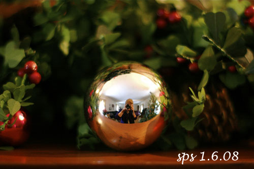 Ornamentsps_w