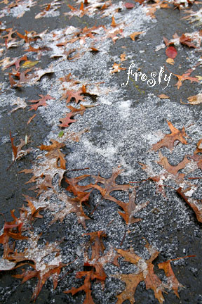 Frosty2_w