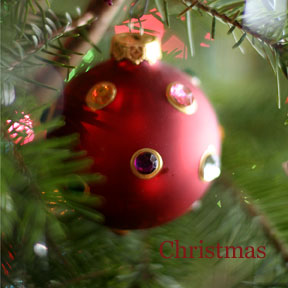 Ornament4x4hsms_w