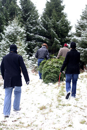 Treecutting_w