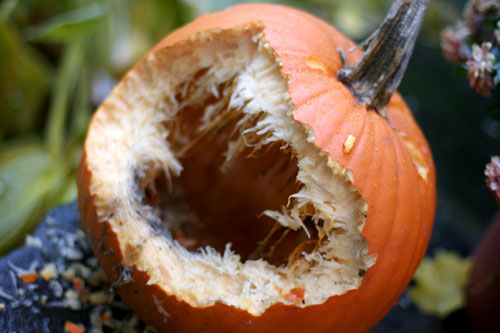 Eatenpumpkin