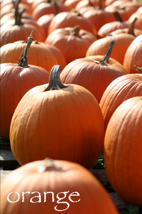 Orange_w