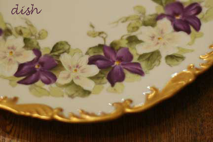 Dish_w