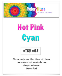 CH # 63 HOt Pink and Cyan.001
